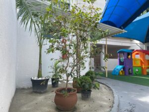 WhatsApp Image 2023-11-28 at 15.06.57